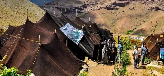 خيام سوداء بدوية كرمانشاه